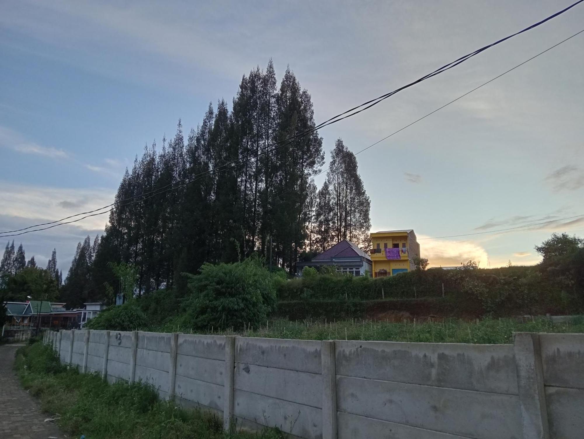 Vulkaan Homestay ブラスタギ エクステリア 写真