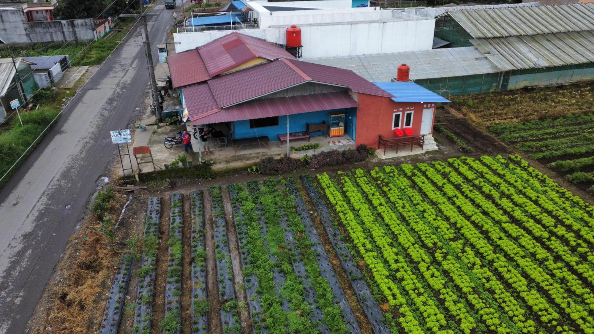 Vulkaan Homestay ブラスタギ エクステリア 写真